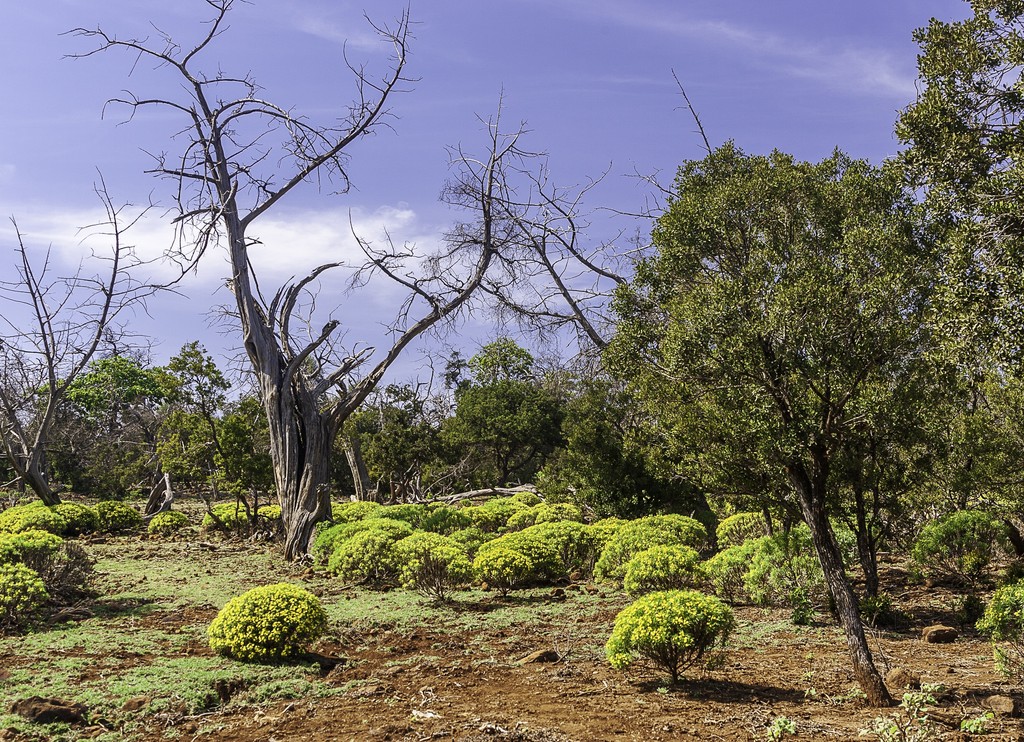 Geography: The Essence of Djibouti