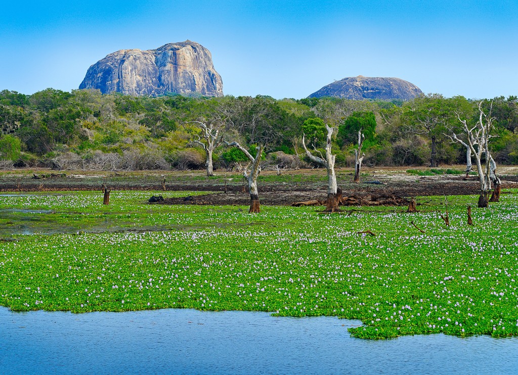 Geographic Features of Sri Lanka